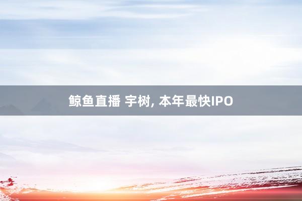 鲸鱼直播 宇树, 本年最快IPO