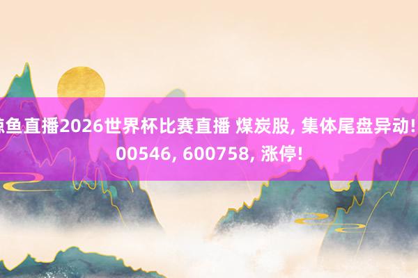 鲸鱼直播2026世界杯比赛直播 煤炭股, 集体尾盘异动! 600546, 600758, 涨停!