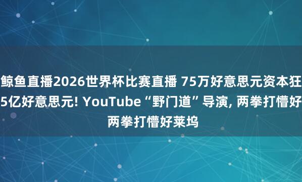 鲸鱼直播2026世界杯比赛直播 75万好意思元资本狂揽1.5亿好意思元! YouTube“野门道”导演, 两拳打懵好莱坞