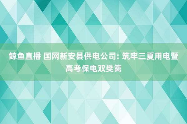 鲸鱼直播 国网新安县供电公司: 筑牢三夏用电暨高考保电双樊篱