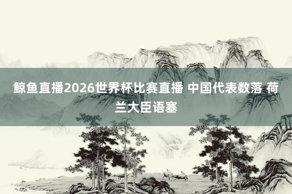 鲸鱼直播2026世界杯比赛直播 中国代表数落 荷兰大臣语塞