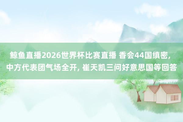 鲸鱼直播2026世界杯比赛直播 香会44国缜密, 中方代表团气场全开, 崔天凯三问好意思国等回答