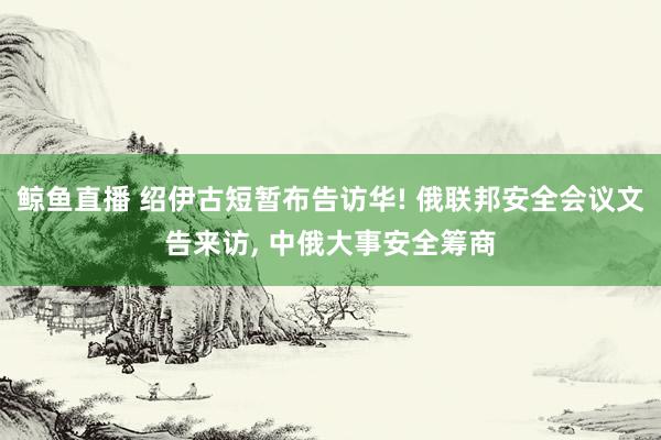 鲸鱼直播 绍伊古短暂布告访华! 俄联邦安全会议文告来访, 中俄大事安全筹商
