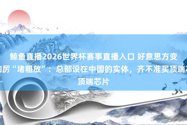 鲸鱼直播2026世界杯赛事直播入口 好意思方变本加厉“堵粗放”：总部设在中国的实体，齐不准买顶端芯片