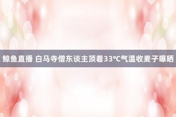 鲸鱼直播 白马寺僧东谈主顶着33℃气温收麦子曝晒