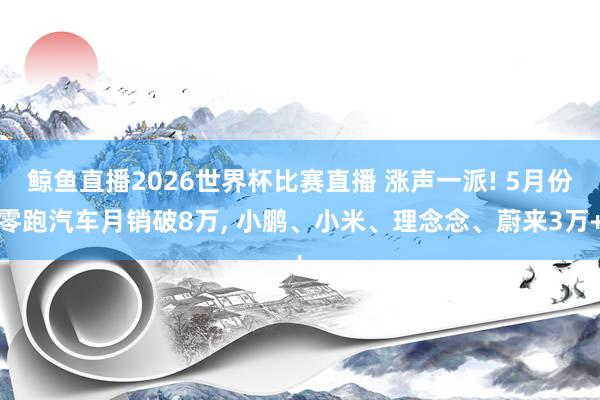 鲸鱼直播2026世界杯比赛直播 涨声一派! 5月份零跑汽车月销破8万, 小鹏、小米、理念念、蔚来3万+