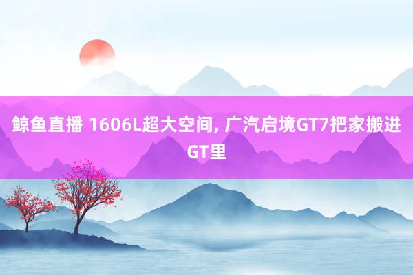 鲸鱼直播 1606L超大空间, 广汽启境GT7把家搬进GT里
