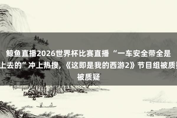 鲸鱼直播2026世界杯比赛直播 “一车安全带全是P上去的”冲上热搜, 《这即是我的西游2》节目组被质疑