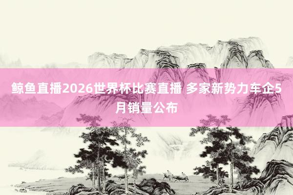 鲸鱼直播2026世界杯比赛直播 多家新势力车企5月销量公布