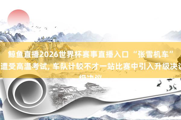 鲸鱼直播2026世界杯赛事直播入口 “张雪机车”, 遭受高温考试, 车队计较不才一站比赛中引入升级决议