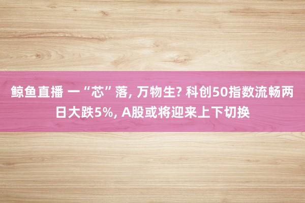 鲸鱼直播 一“芯”落, 万物生? 科创50指数流畅两日大跌5%, A股或将迎来上下切换