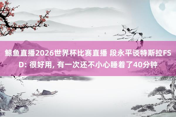 鲸鱼直播2026世界杯比赛直播 段永平谈特斯拉FSD: 很好用, 有一次还不小心睡着了40分钟