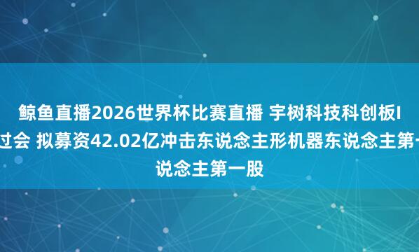 鲸鱼直播2026世界杯比赛直播 宇树科技科创板IPO过会 拟募资42.02亿冲击东说念主形机器东说念主第一股