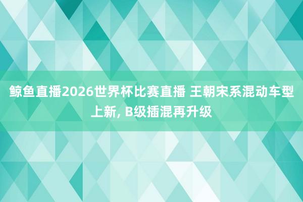 鲸鱼直播2026世界杯比赛直播 王朝宋系混动车型上新, B级插混再升级