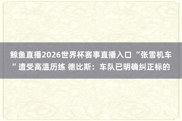 鲸鱼直播2026世界杯赛事直播入口 “张雪机车”遭受高温历练 德比斯：车队已明确纠正标的