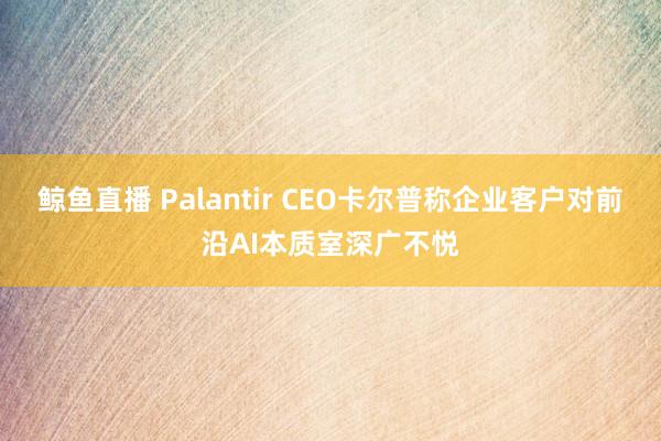 鲸鱼直播 Palantir CEO卡尔普称企业客户对前沿AI本质室深广不悦