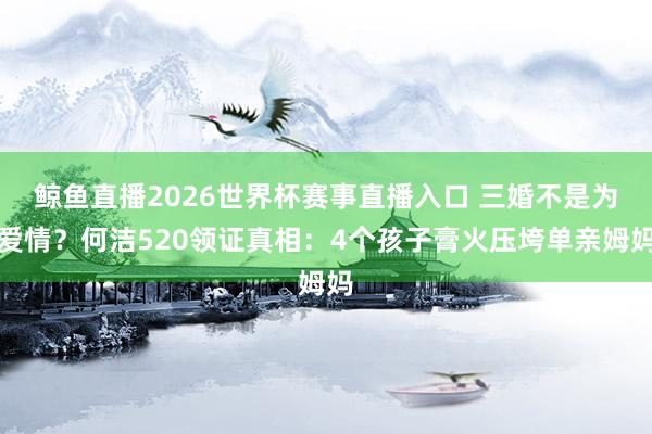 鲸鱼直播2026世界杯赛事直播入口 三婚不是为爱情？何洁520领证真相：4个孩子膏火压垮单亲姆妈