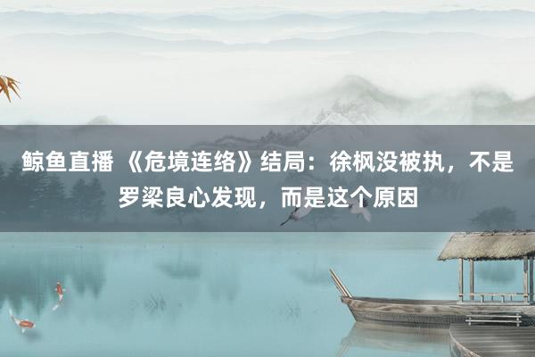鲸鱼直播 《危境连络》结局：徐枫没被执，不是罗梁良心发现，而是这个原因