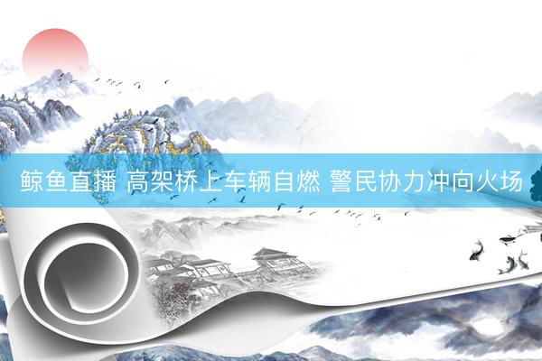 鲸鱼直播 高架桥上车辆自燃 警民协力冲向火场
