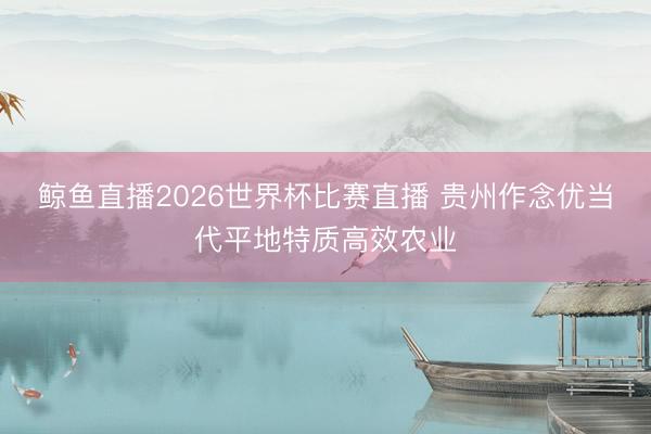 鲸鱼直播2026世界杯比赛直播 贵州作念优当代平地特质高效农业