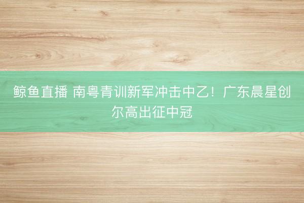 鲸鱼直播 南粤青训新军冲击中乙！广东晨星创尔高出征中冠