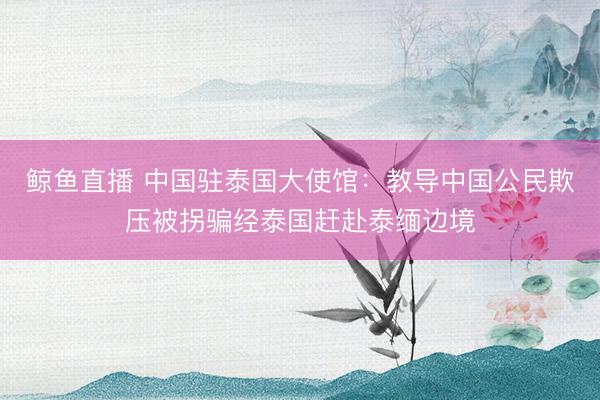 鲸鱼直播 中国驻泰国大使馆：教导中国公民欺压被拐骗经泰国赶赴泰缅边境