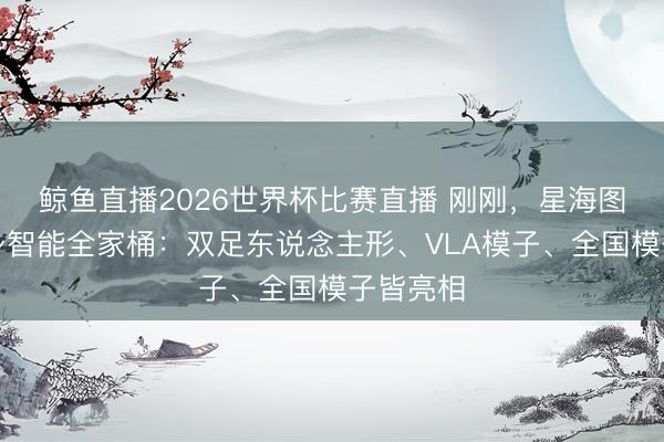 鲸鱼直播2026世界杯比赛直播 刚刚，星海图甩出具身智能全家桶：双足东说念主形、VLA模子、全国模子皆亮相
