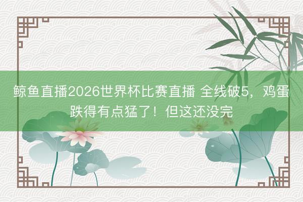 鲸鱼直播2026世界杯比赛直播 全线破5,鸡蛋跌得有点猛了!但这还没完